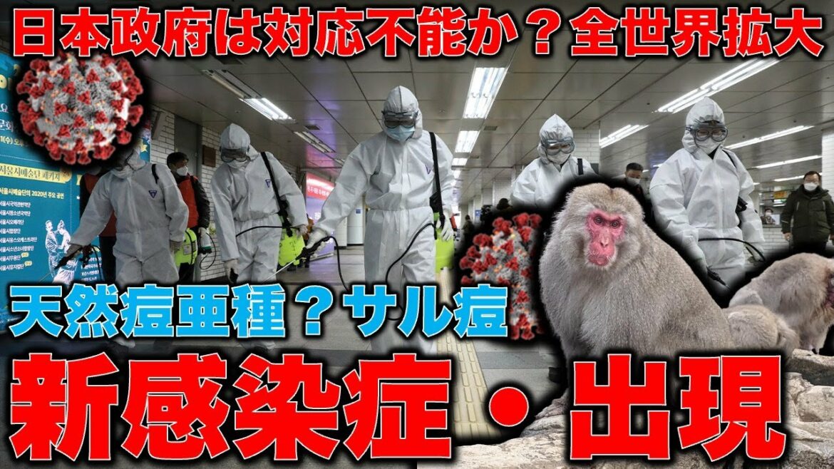 サル痘の恐怖。コロナとのダブルパンデミック！やっぱりヤケクソになりたくなる。コロナを無視してもこれを無視したら大変な事になるぞ。。。安冨歩東大教授。一月万冊