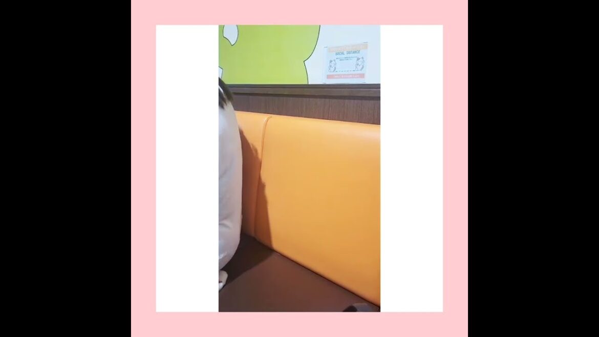 【覗きに来て！！】野田洋次郎さんとAimerさんのコラボ♥『蝶々結び』アカペラで歌ってみた！！