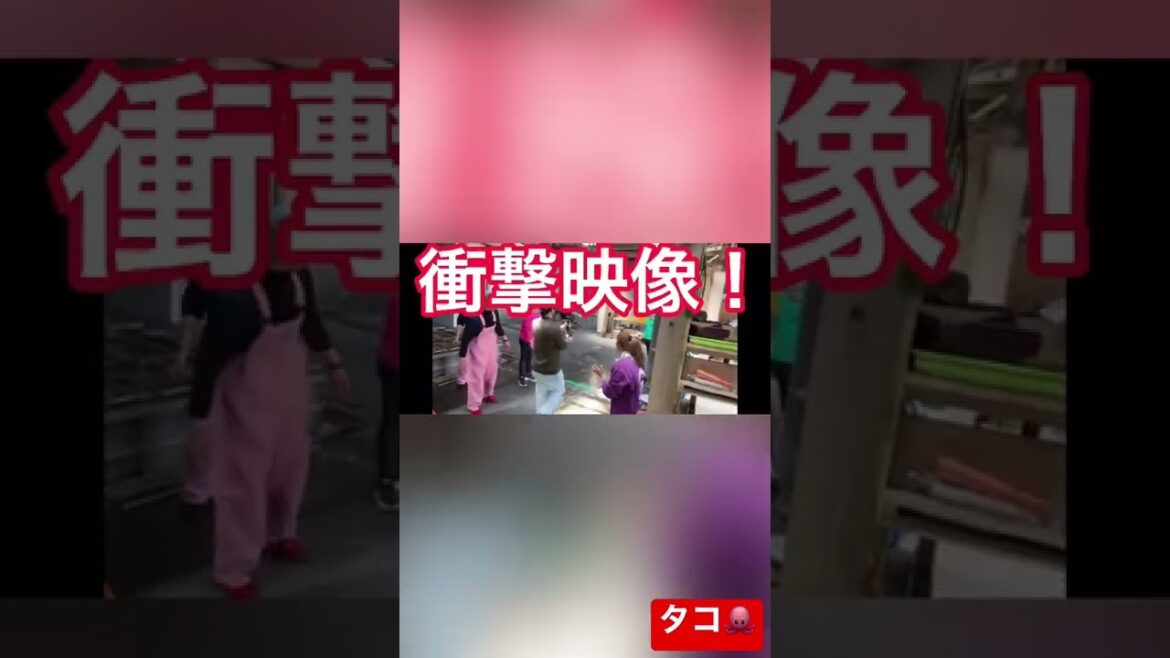 タコかぶって衝撃映像！#shorts