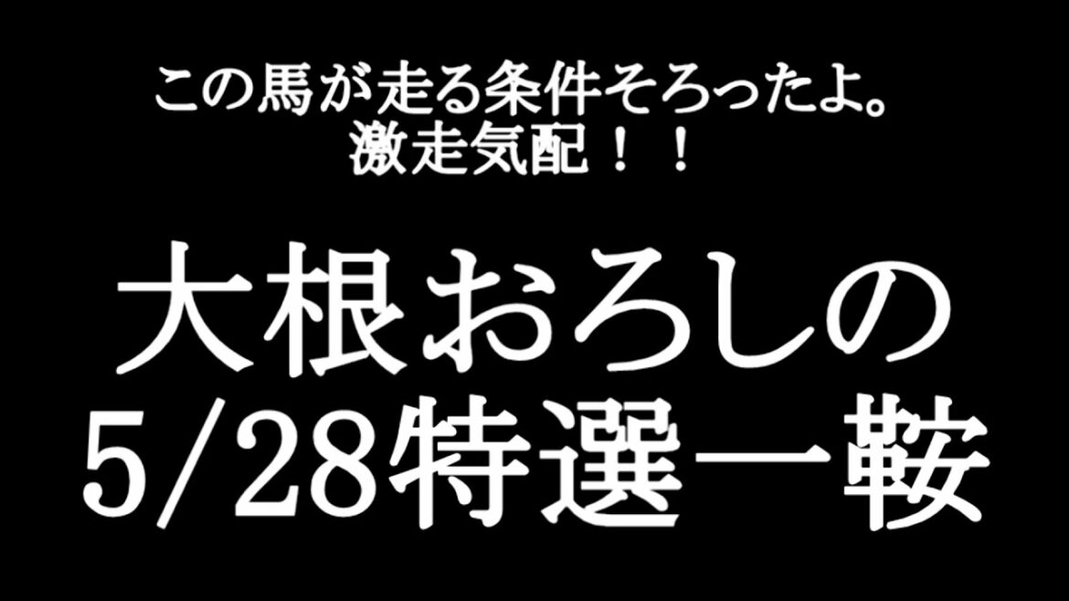 【競馬予想】5月28日の特選一鞍【大根おろし】