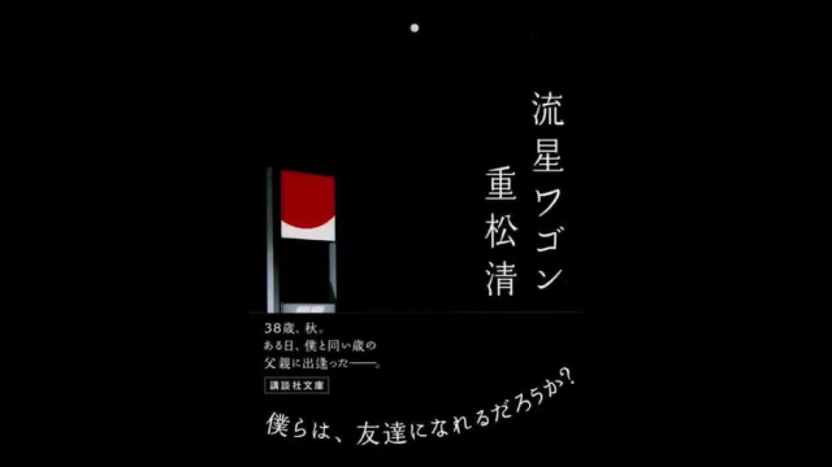 平井真美子 Mamiko Hirai - 流星ワゴン