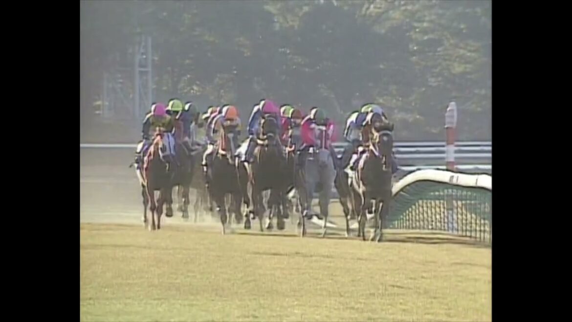 イナリワン 1989年 第100回天皇賞(秋)(GI) イナリワン 1989年 第100回天皇賞(秋)(GI)
