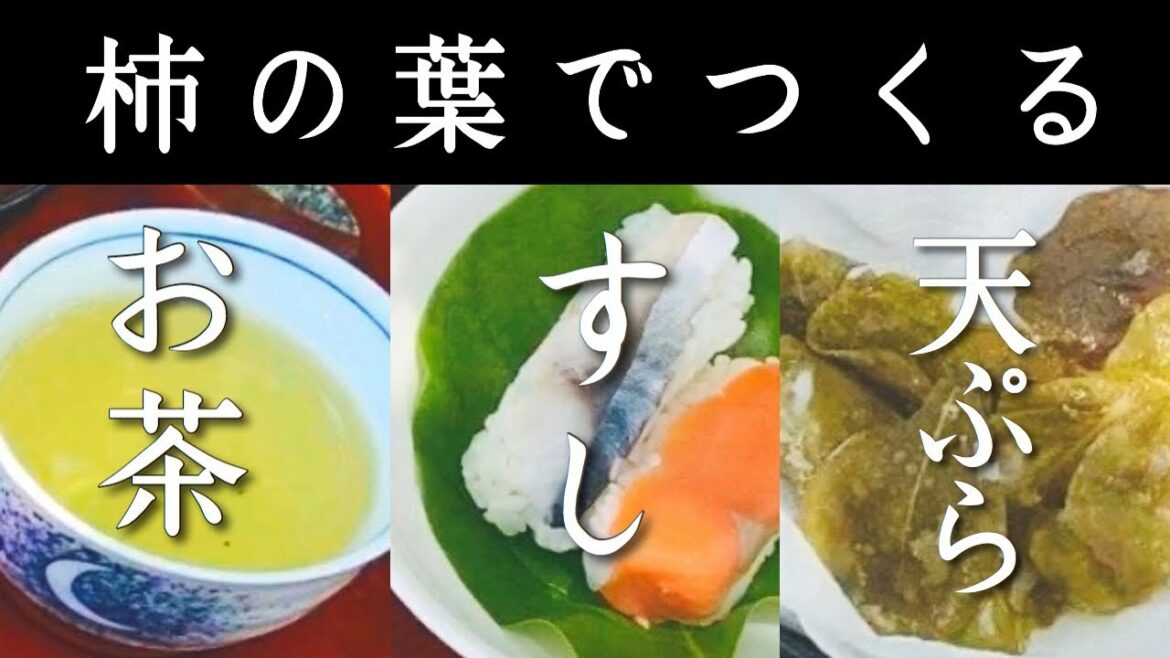 柿の葉で手作り|柿の葉茶|柿の葉寿司|柿の葉の天ぷら|vlog【中野屋】 柿の葉で手作り|柿の葉茶|柿の葉寿司|柿の葉の天ぷら|vlog【中野屋】