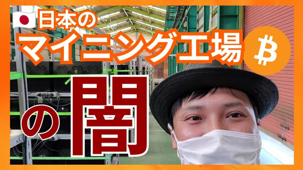 日本の仮想通貨マイニング工場の闇を見てきた