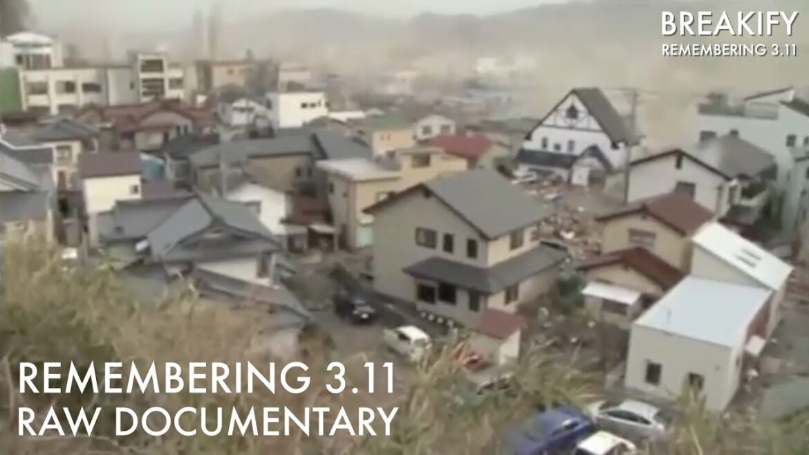 Remembering 3.11 / March 11, 2011 Japan Earthquake Documentary / 東日本大震災 大津波 2011年3月11日 (東北地方太平洋沖地震)