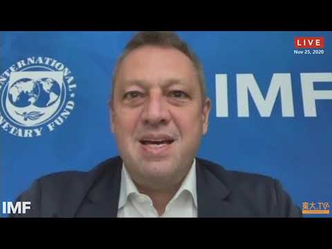 Session 3: “Financial Regulation”(英語)ーIMF, U-Tokyo Virtual Conference Session 3: “Financial Regulation”(英語)ーIMF, U-Tokyo Virtual Conference