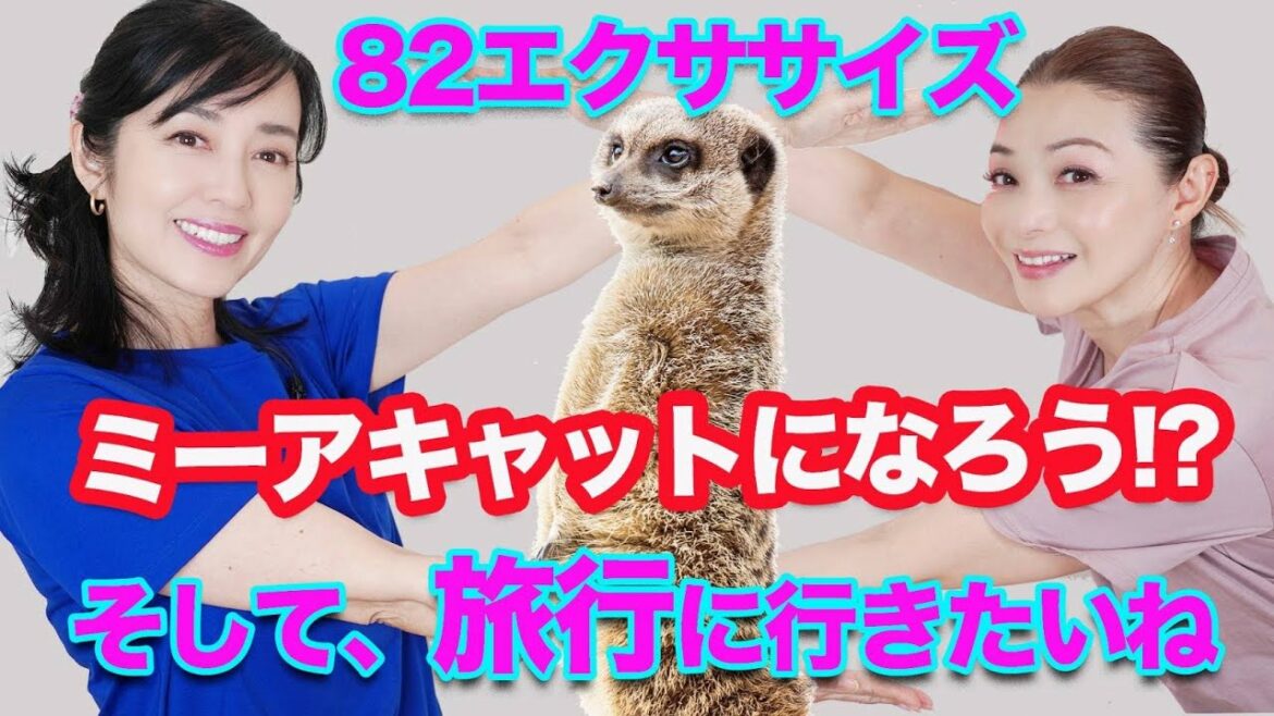 【ミーアキャット運動?】82(ハニー)エクササイズ! 【ミーアキャット運動?】82(ハニー)エクササイズ!