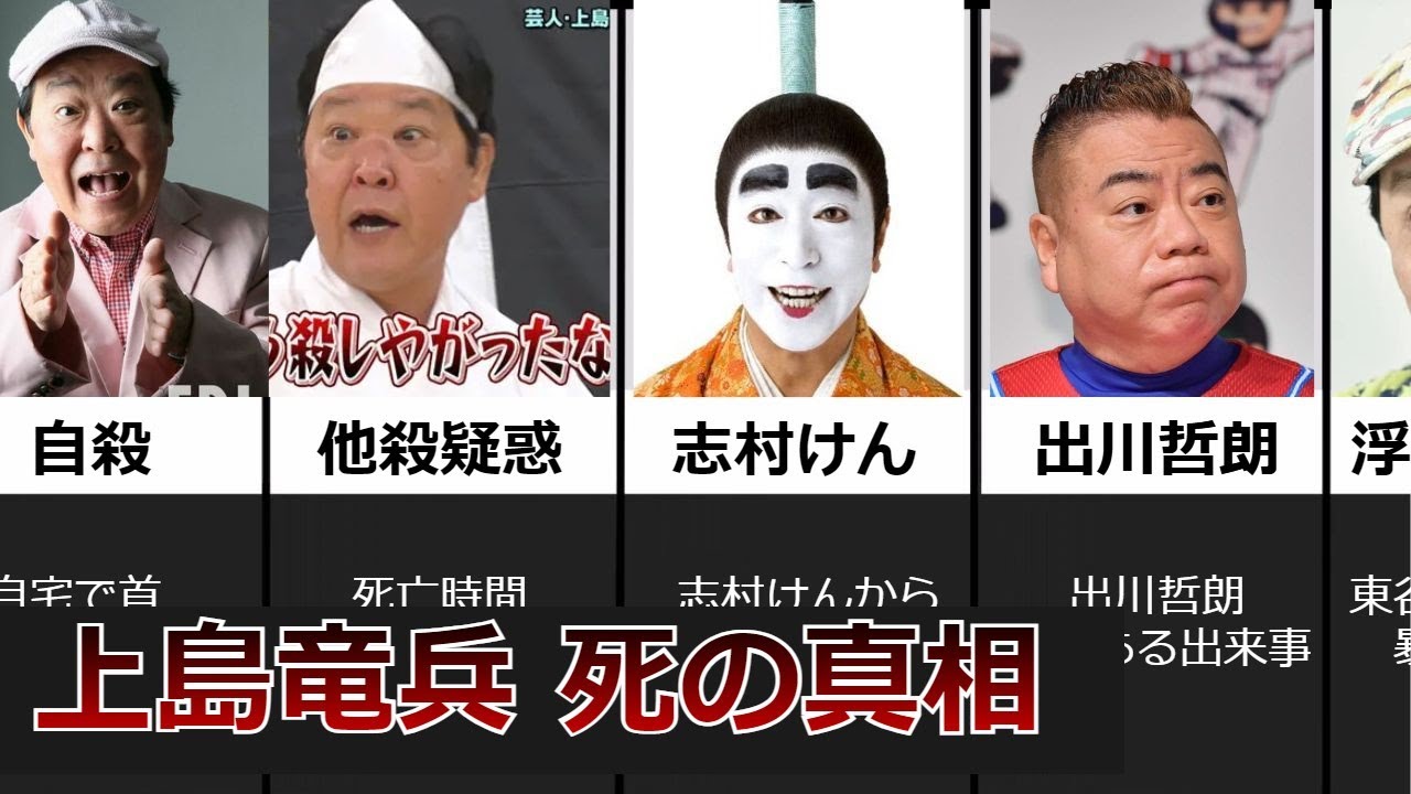 活動歴および当時の関連ビジュアル記録