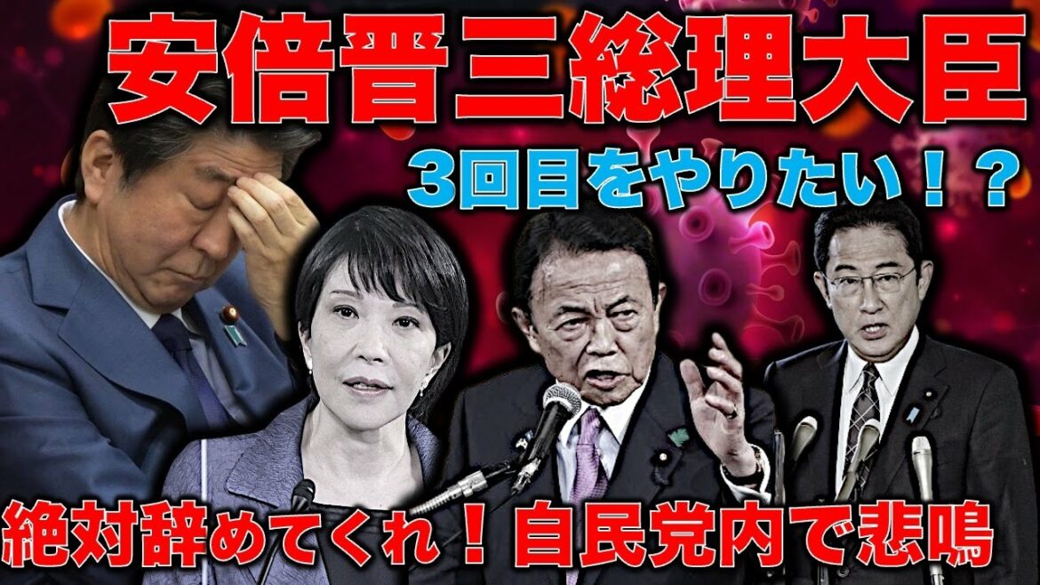 狂気・安倍晋三3回目の総理大臣の野望。自民党、岸田総理・麻生太郎・高市早苗等々が悲鳴！それだけはやめてくれ！お前がいるとポストが詰まる！元朝日新聞・記者佐藤章さんと一月万冊