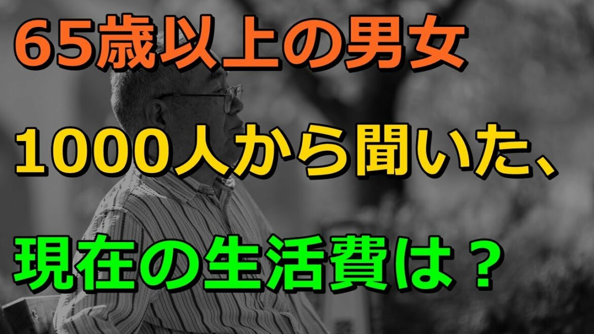 老後 65歳以上の男女1000人から聞いた、現在の生活費は？[老後資金]