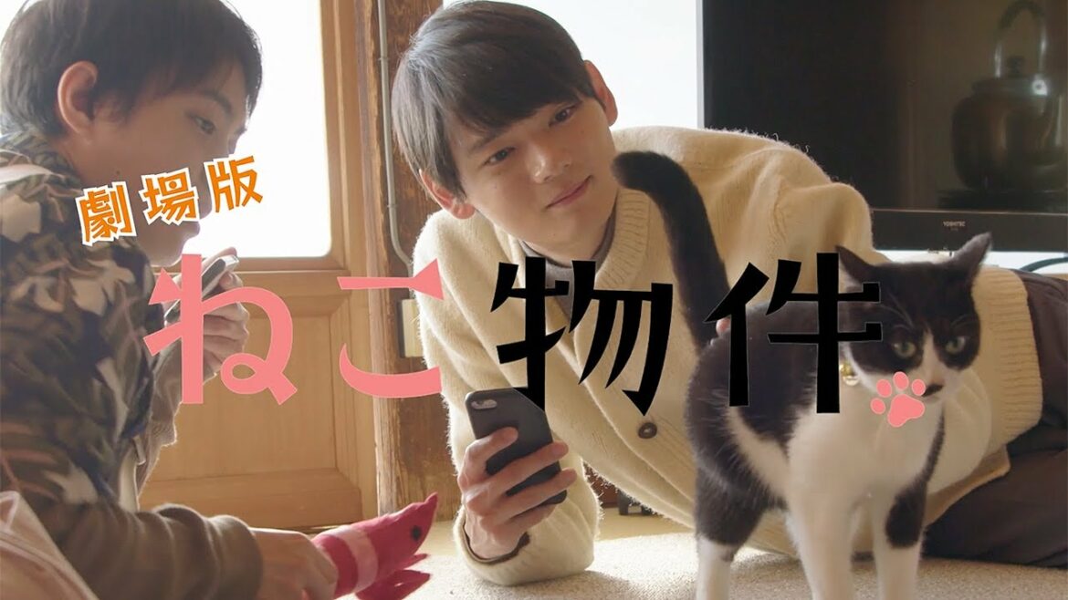 「劇場版 ねこ物件」古川雄輝の謎が明らかに!?　細田佳央太らが二星ハイツに帰ってくる！　イケメン×猫ドラマが映画化