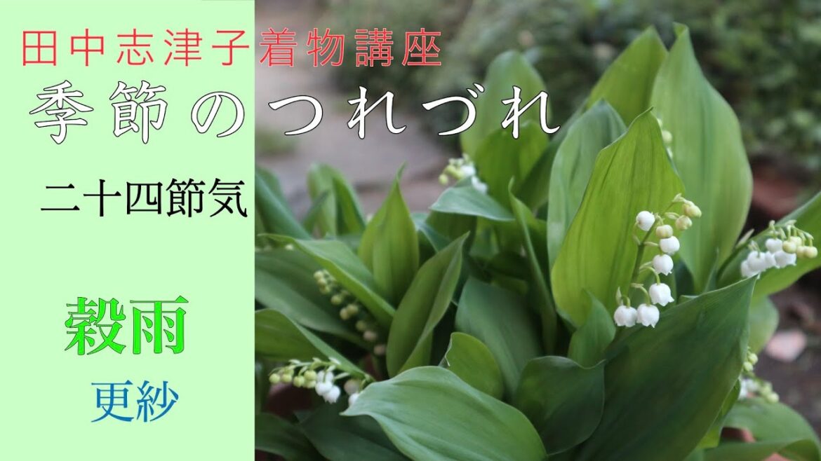 「穀雨 」二十四節気　「更紗」