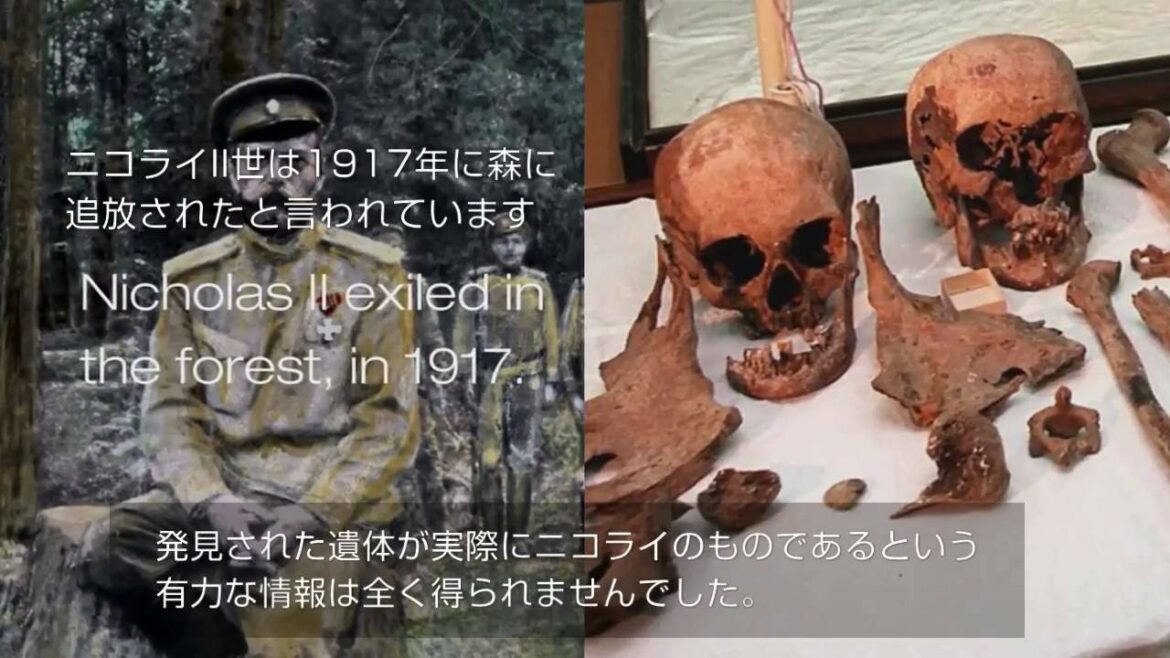 【イルミナ】 ミトコンドリアDNAヘテロプラスミーの威力 - ゲノムへのアドベンチャー