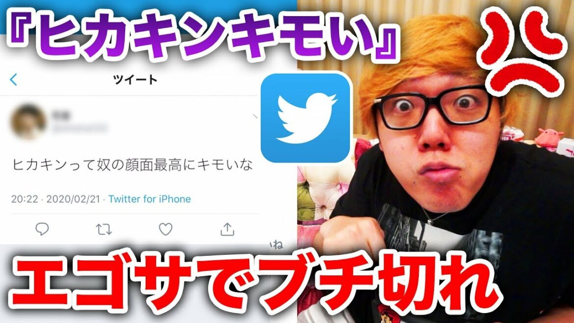 【エゴサ】ツイッターで『ヒカキン キモい』で検索したらヒド過ぎてブチ切れ反撃！【エゴサーチ】【Twitter】