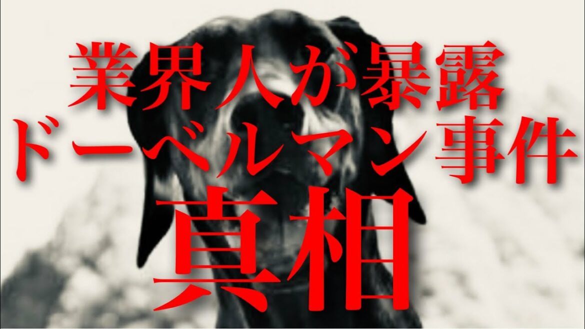 【ドーベルマン脱走窃盗事件】業界人だけが知ってる世間が勘違いしている事件の真相