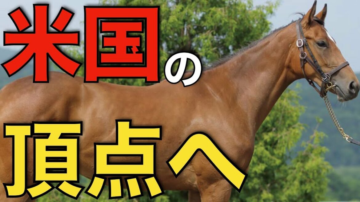 【世界最高峰】クラウンプライドが参戦のケンタッキーダービーを探る！日本とは色々と違かった。