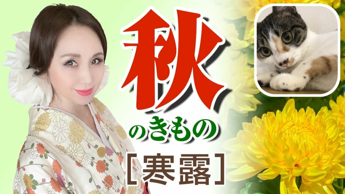 【二十四節気ときものシリーズ】寒露　これからの季節は袷（あわせ）のきもの！そして帯の柄を楽しめる季節です！