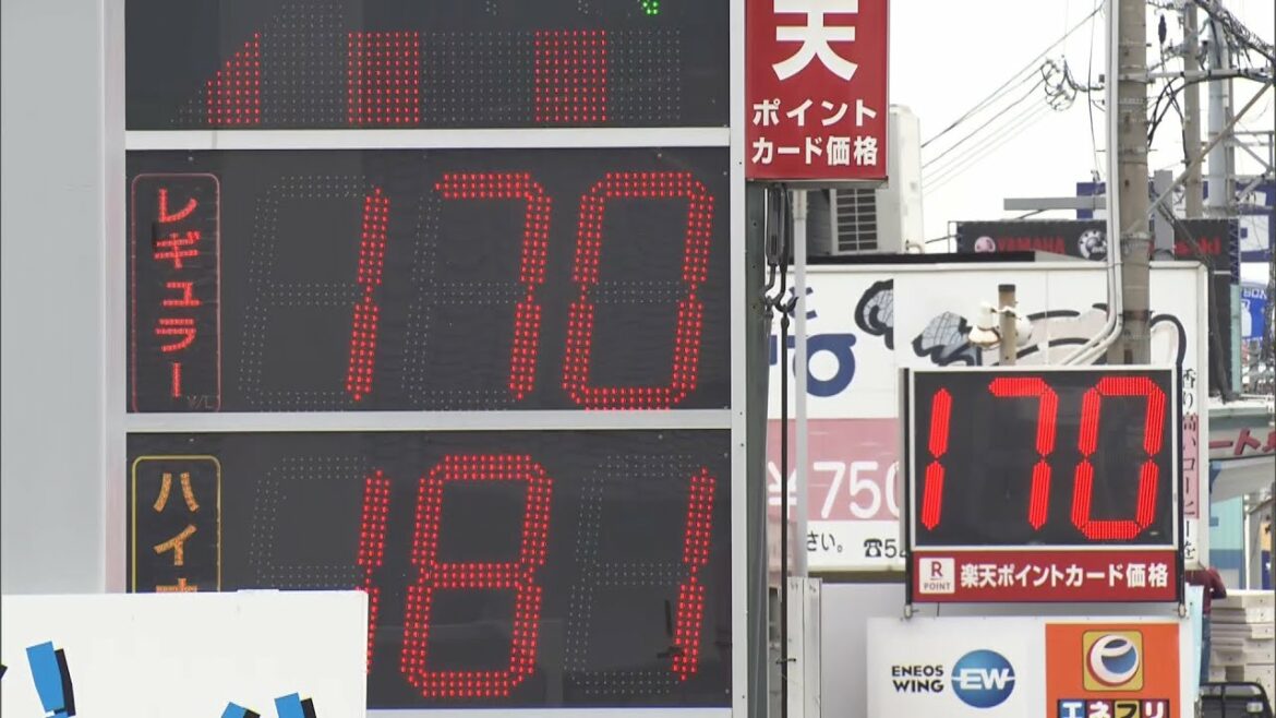 【原油高騰】「値段を上げて売れなくなってしまうと困る...」イチゴ狩りのビニールハウスは燃料費２倍...包装材も輸送費も　農家もガソスタも悲鳴（2022年6月16日）