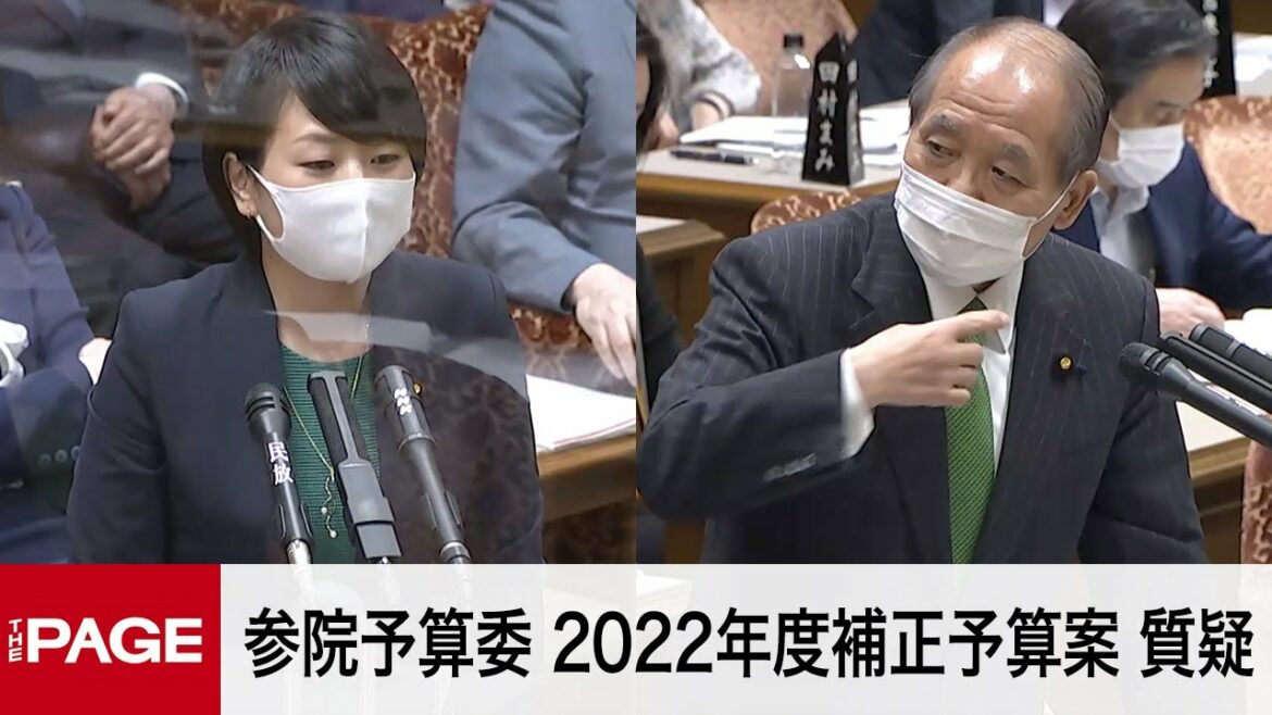 【国会中継】参院 予算委員会　2022年度補正予算案を質疑（2022年5月31日）