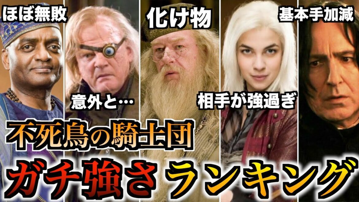 【意外な順位に・・・】レベチエリート不死鳥の騎士団のガチ強さランキング！！