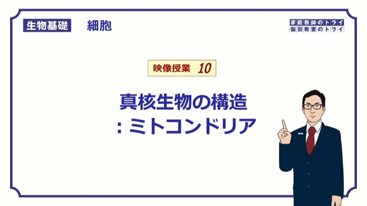 【生物基礎】　細胞10　ミトコンドリア　（１７分）