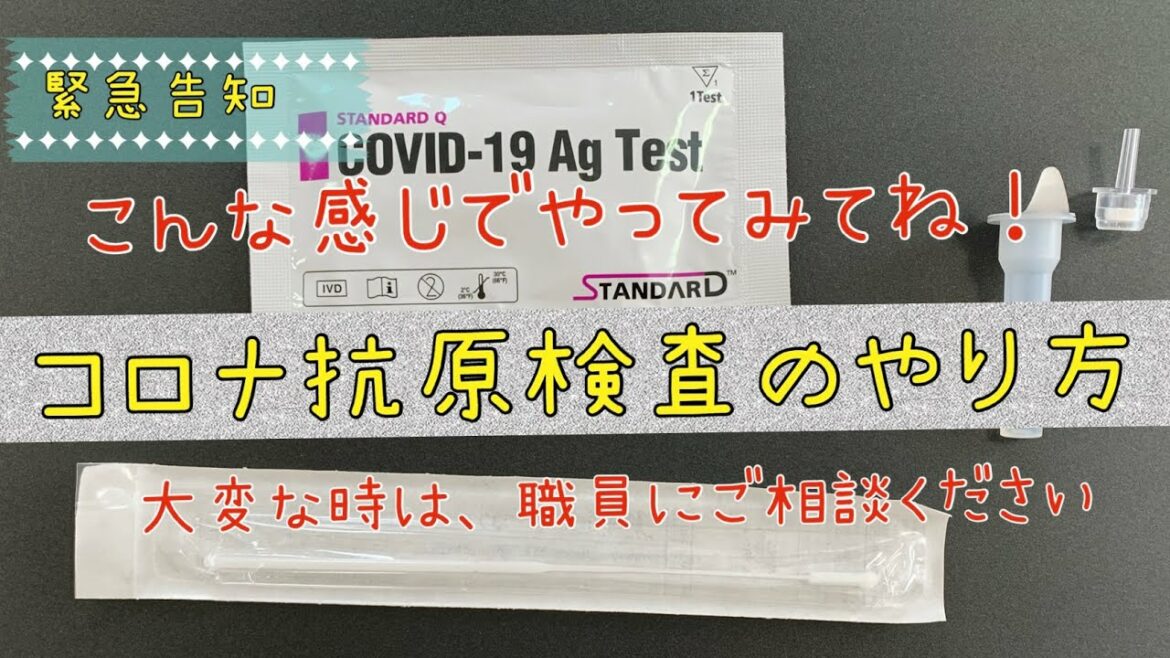 【緊急】コロナ抗原検査キットの使い方