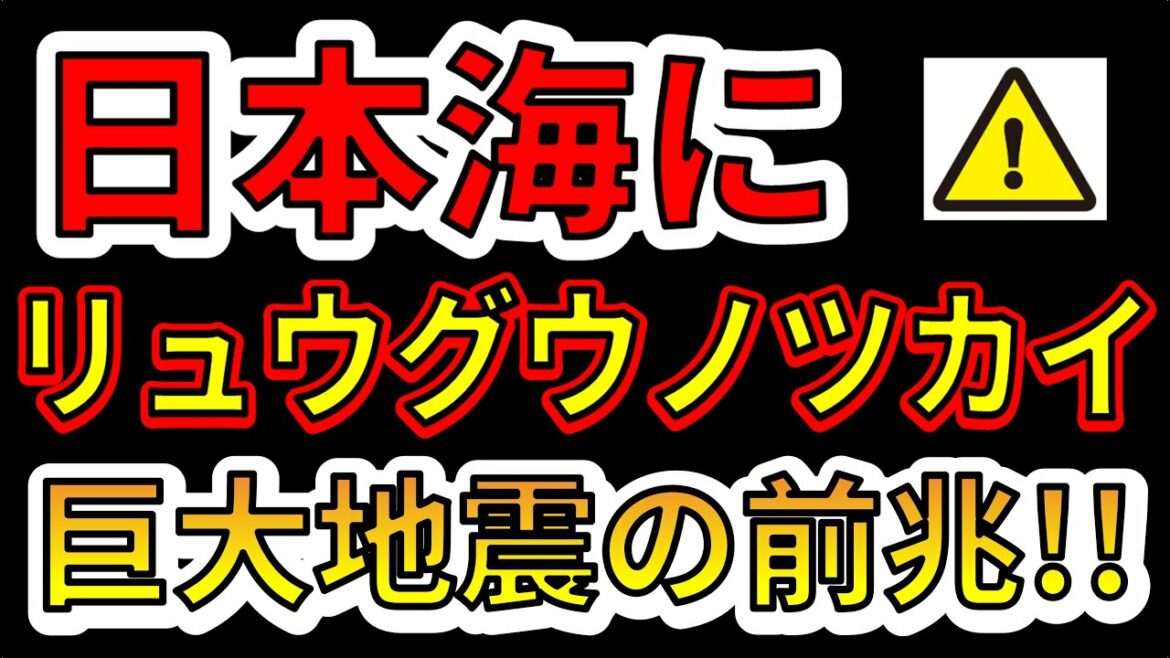 【要注意！】日本海にリュウグウノツカイが出現しました！巨大地震の前兆か！？