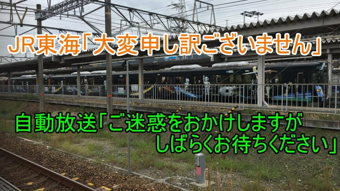 【JR東海】遅延時でも超詳細放送をするNOA型放送!