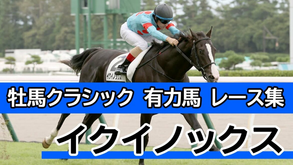 イクイノックス全レース【牡馬クラシック有力馬】