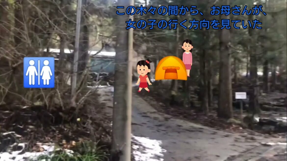 事故の可能性について(山梨女児行方不明事件)