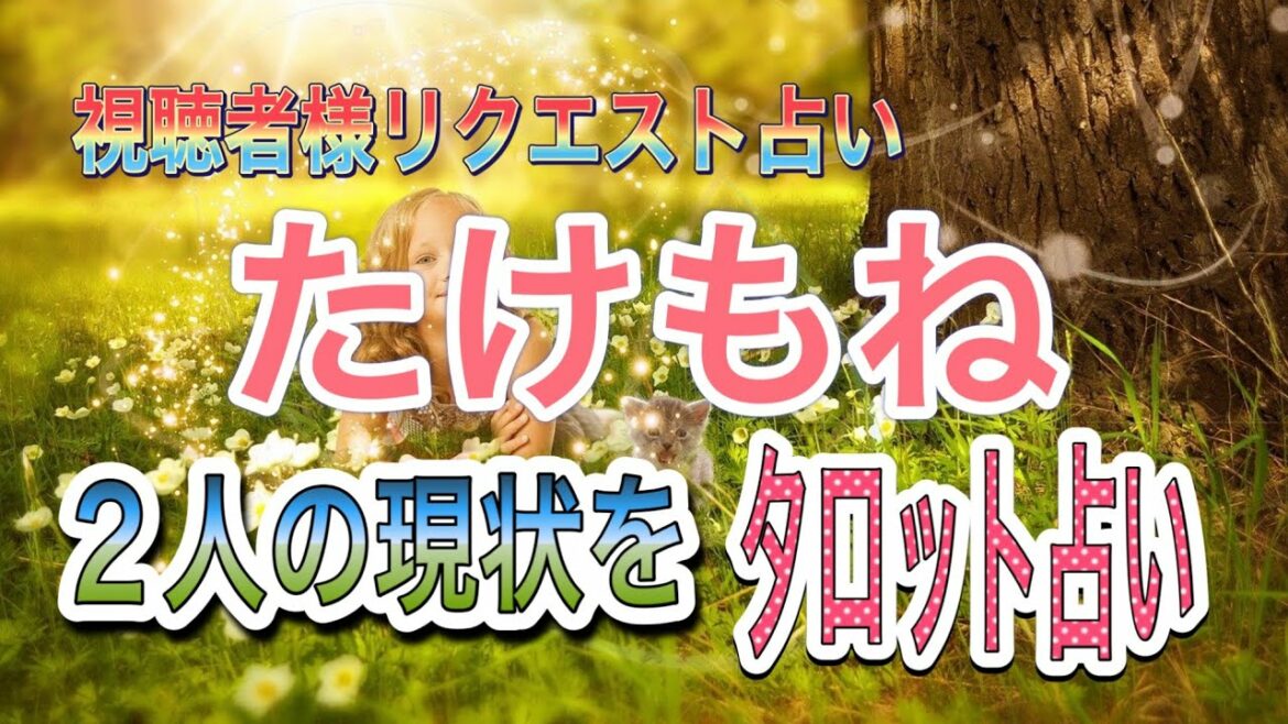 占い♦️たけもね２人の現状は⁉️視聴者様リクエストタロットカードリーディング占い　ASMR