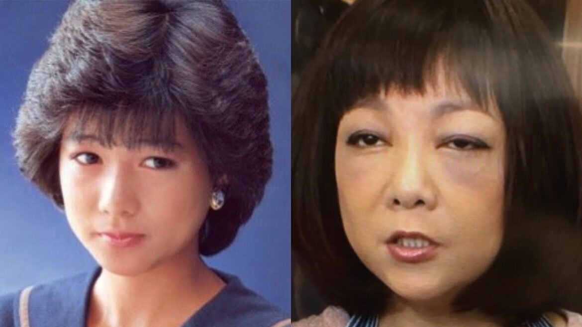 堀ちえみの顔が激変！！昔と今の姿を画像で徹底比較します！