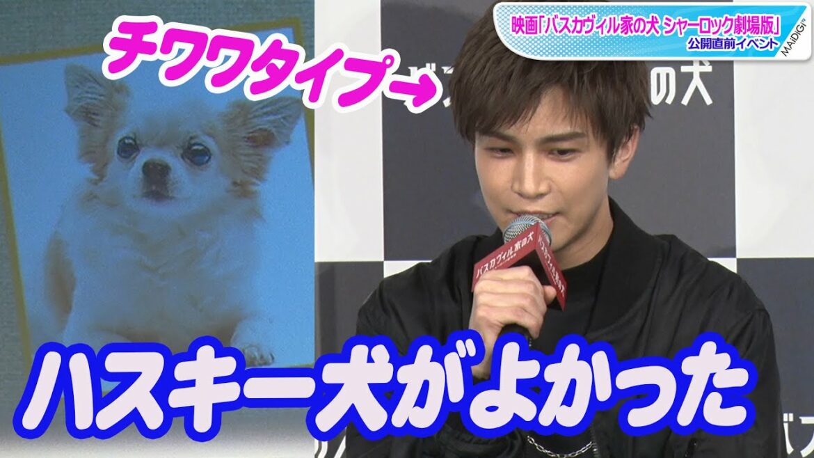 岩田剛典は「チワワタイプ」？　“犬性格診断”の結果に不満　映画「バスカヴィル家の犬 シャーロック劇場版」公開直前イベント