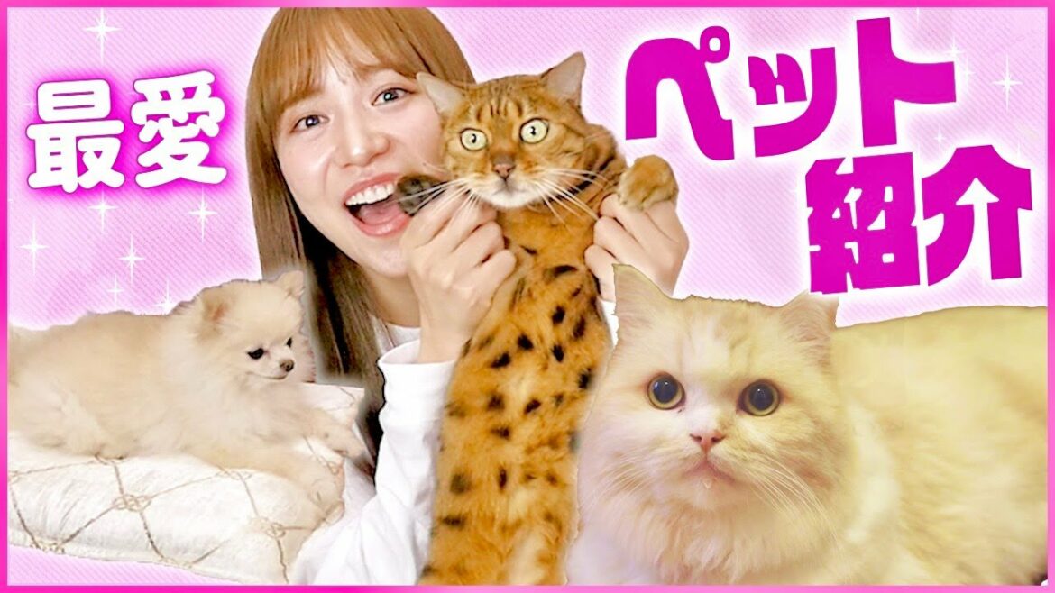 愛する我が子たちを紹介します！