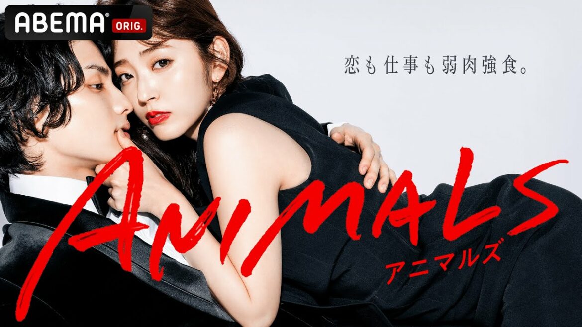 新ドラマ特報解禁🐯【ANIMALS-アニマルズ-】💄恋も仕事も弱肉強食!?夢も彼氏もなし、ブラック企業勤務 幸せ迷子のズタボロ女子が絶世の美女に大変身！6/23(木)よる9:45~ABEMAで放送