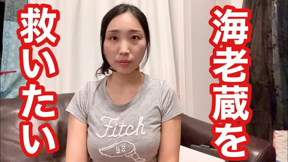 海老蔵さんの発信に込められたSOSを私は見逃しません。
