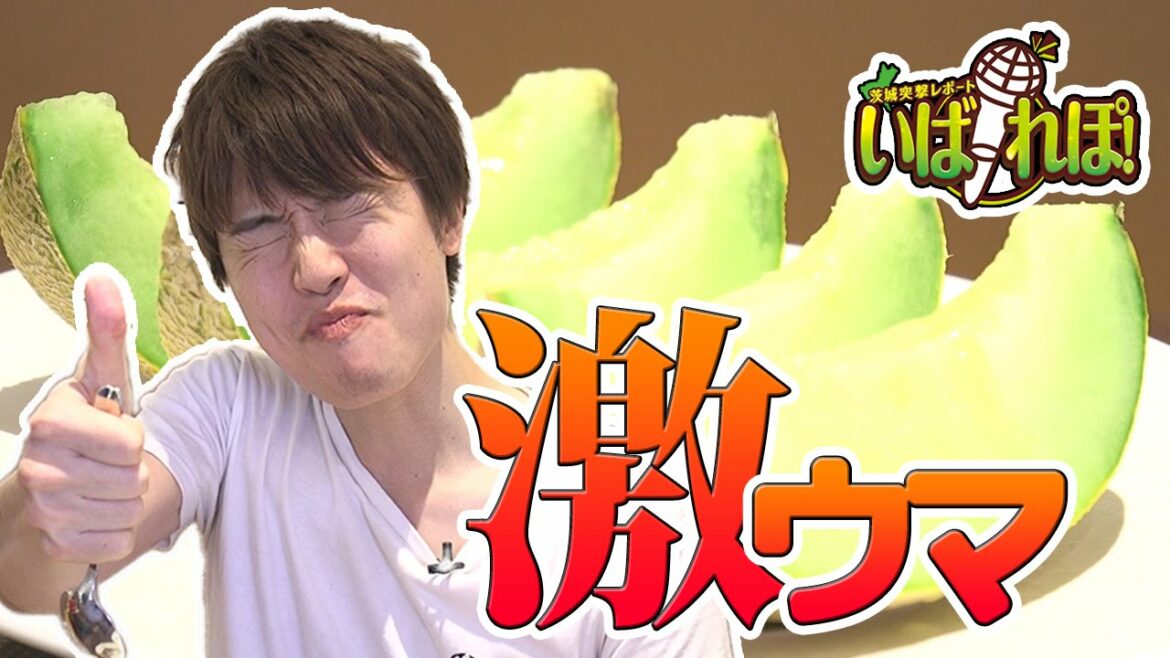 激ウマ！完熟メロンスイーツ【いばれぽ 〜Masuo編〜】#2
