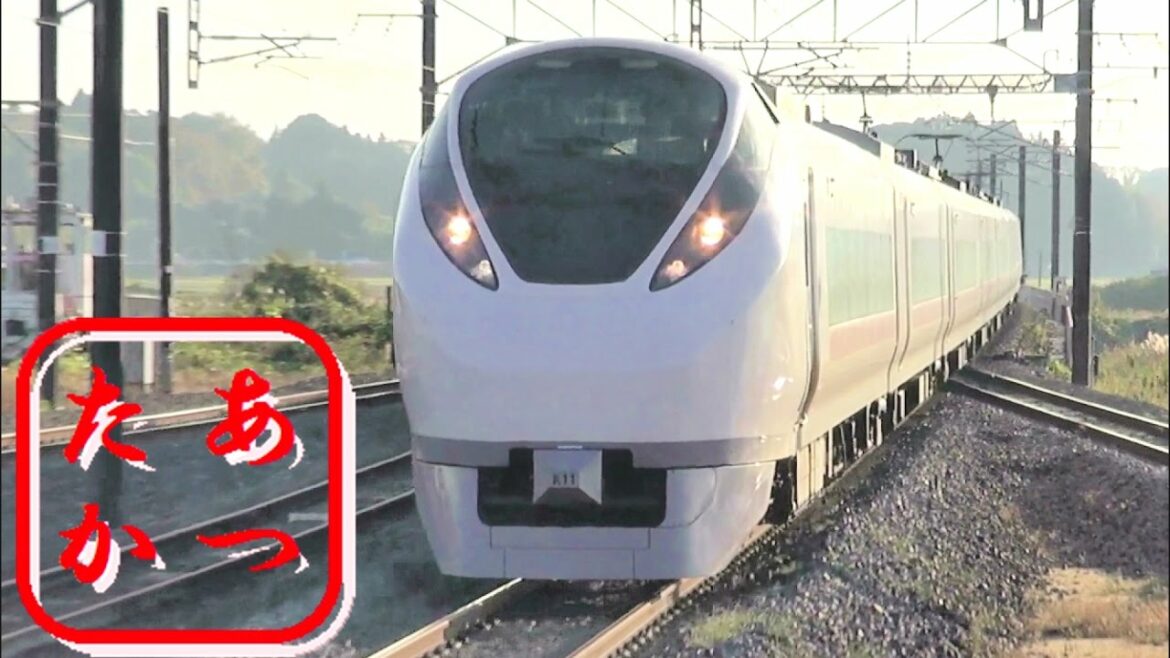 特急ひたち ときわ 高速通過集！E657系電車 JR常磐線