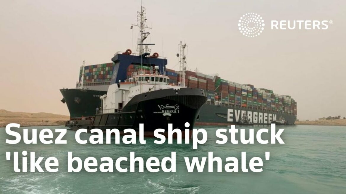 Suez canal ship stuck 'like beached whale'