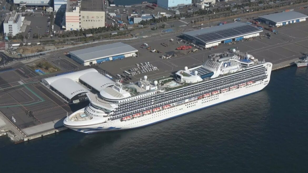 新たに60人以上が検査陽性  クルーズ船、新型肺炎