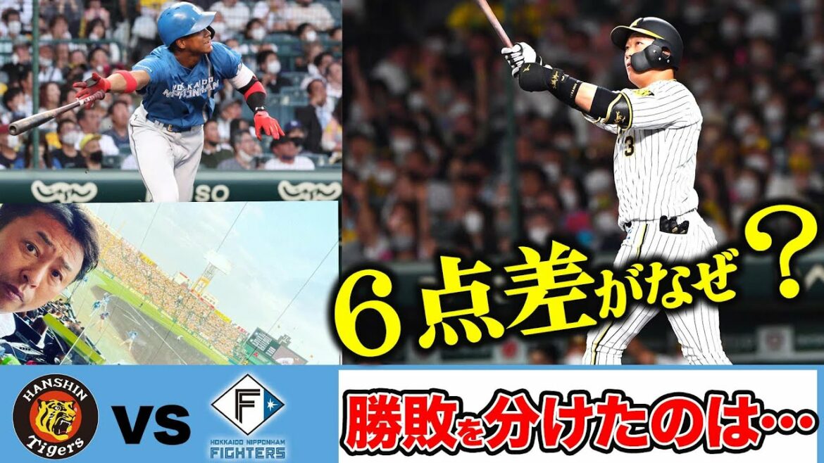 【激闘】甲子園の解説席から見た「阪神vs日本ハム」両チームから感じたこと【プロ野球ニュース】【阪神タイガース】【日本ハム】