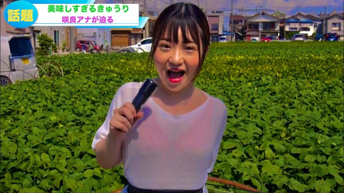 【放送事故】女子アナのブラが思いっきり透けてる