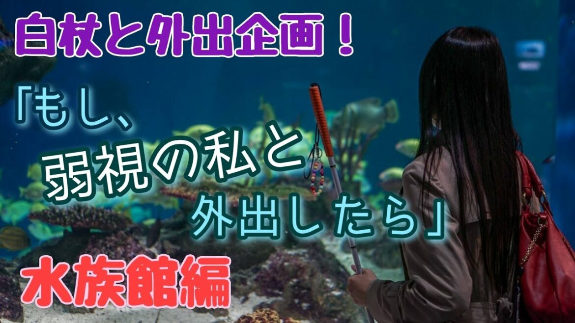 【水族館】弱視でも楽しめる方法５つ【障害理解】