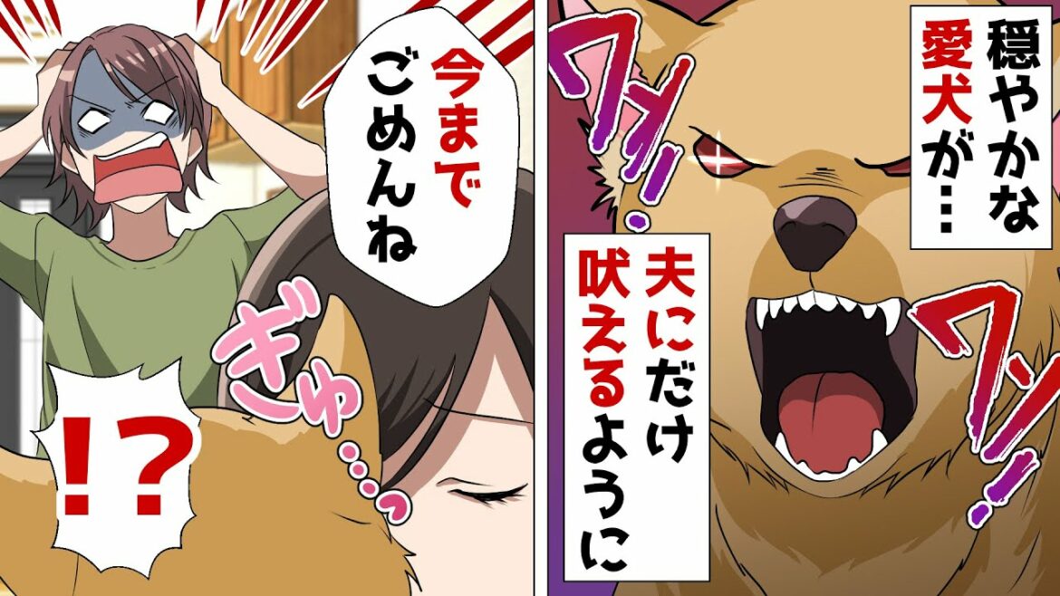ある日突然、夫が離婚宣言「ドッグランで浮気相手とイチャイチャしやがって！」⇒愛犬のSOS！裁判で勘違い旦那の恥ずかしすぎる失敗に涙と笑いが…ｗ【スカッとするいい話】