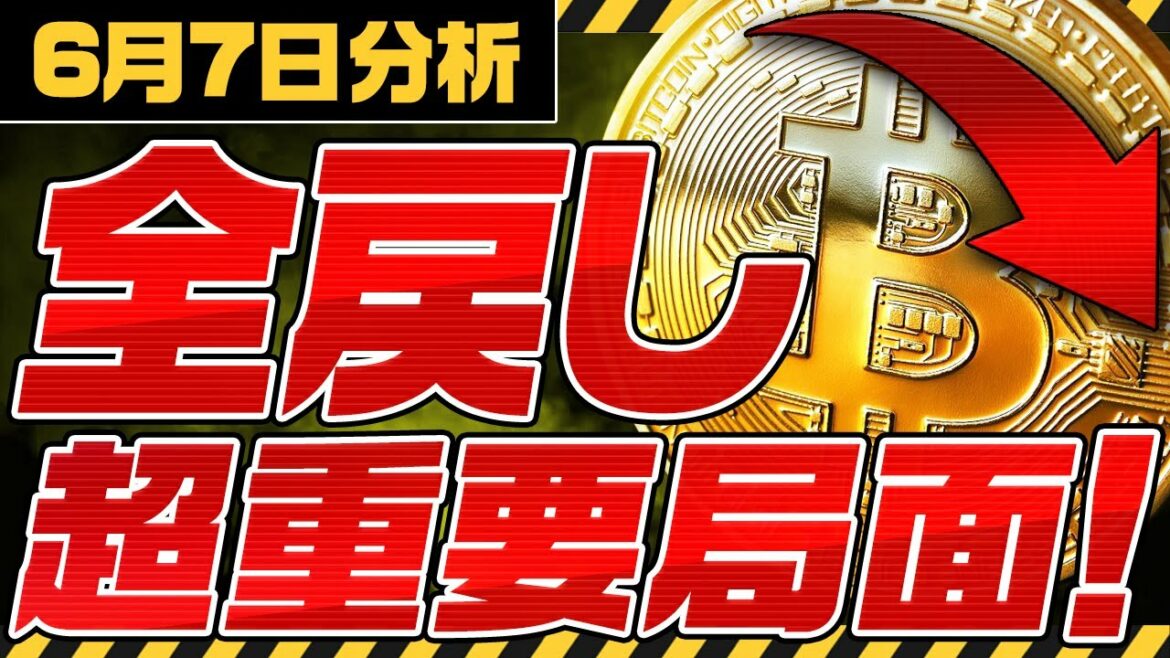 ⚠️BTC超重要局面⚠️ビットコインが全戻し！今後の戦略を徹底解説！【仮想通貨】