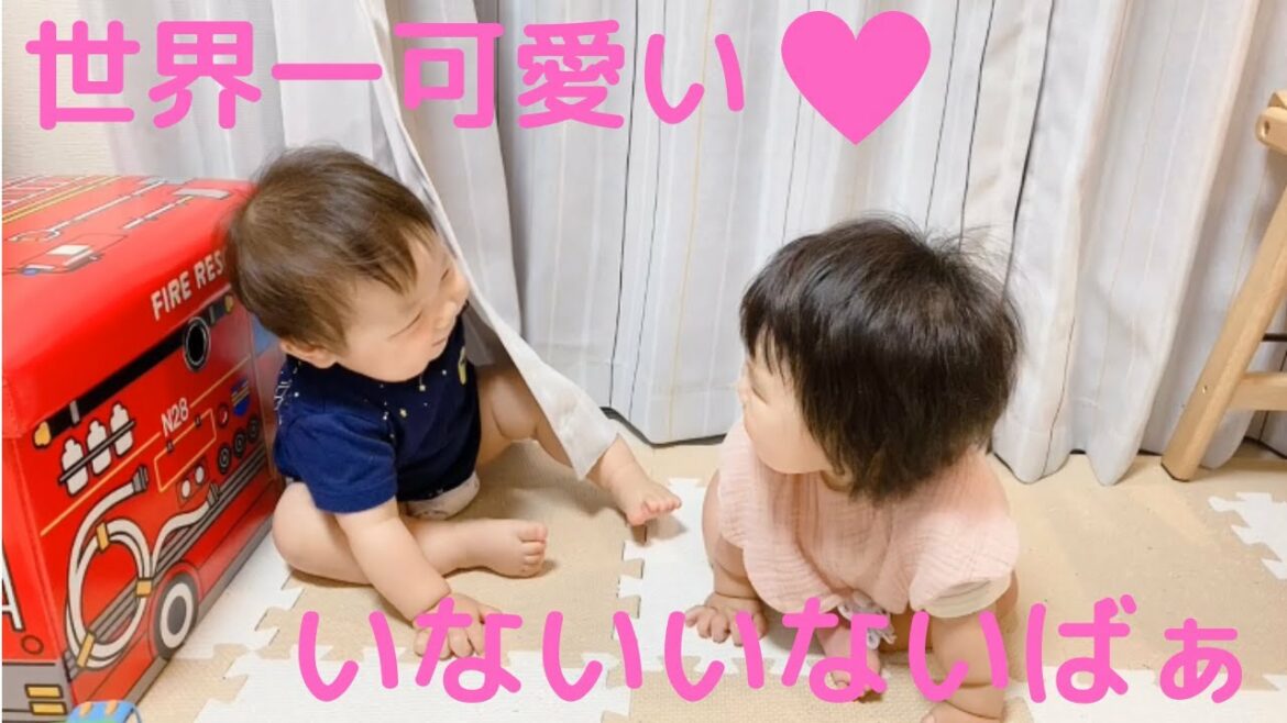 叔父さんと姪っ子の『いないいないばあ』が可愛すぎた。