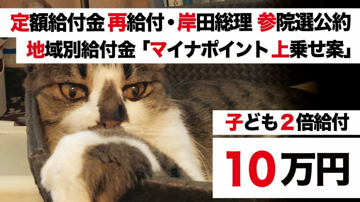 【定額給付金 再給付・低所得世帯に一律給付 子育て給付2倍】岸田総理 参院選公約 7つの柱 生活支援策「決断と実行。」地域別給付金 マイナポイント 上乗せ5000円【生活困窮者支援】
