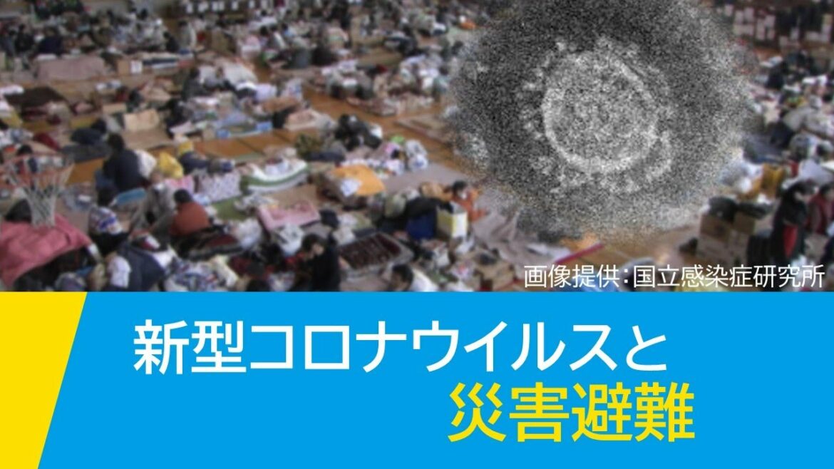 [水害から命と暮しを守る] 新型コロナウイルスと災害避難 | NHK