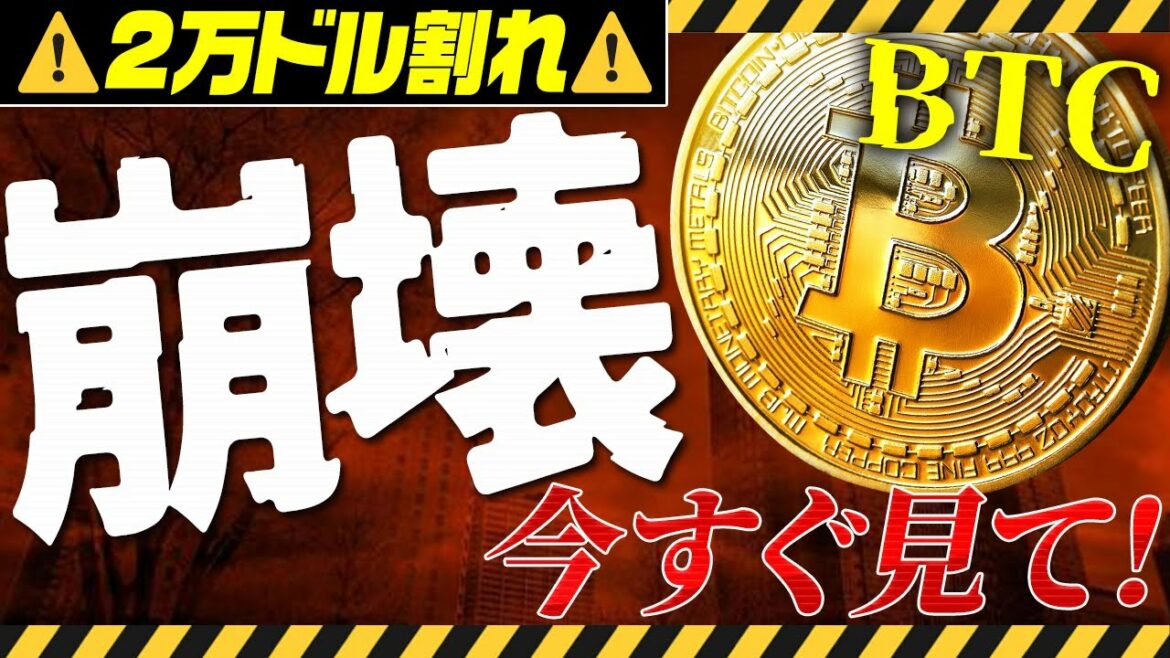 ⚠️BTC崩壊⁉️⚠️ビットコインが遂に20000$割れ！今すぐ見てください！【仮想通貨】