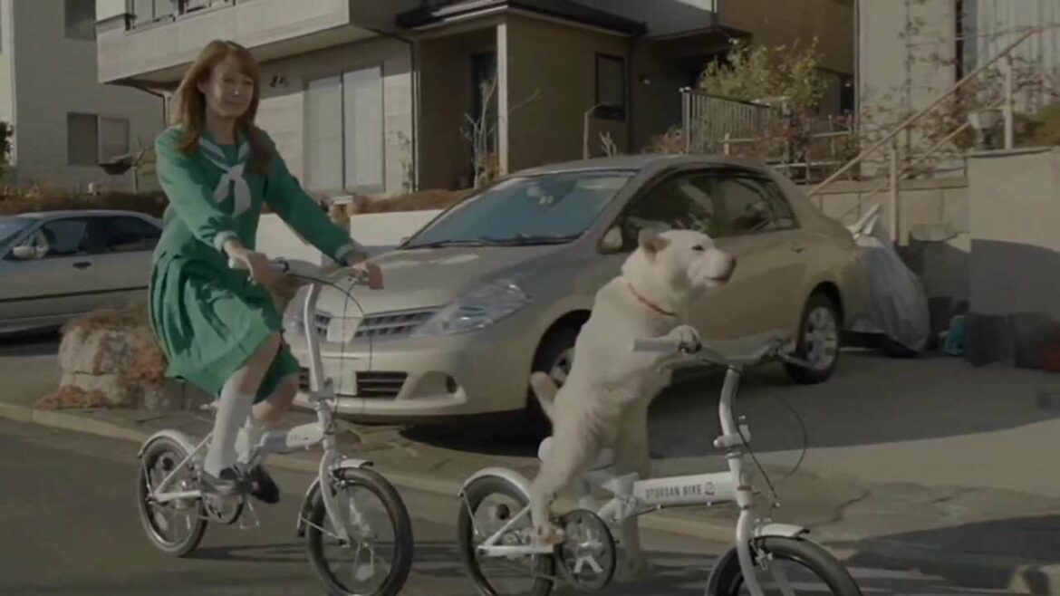 いいなCM　ソフトバンク　白戸家　トリンドル玲奈　「お父さん自転車」篇A/B